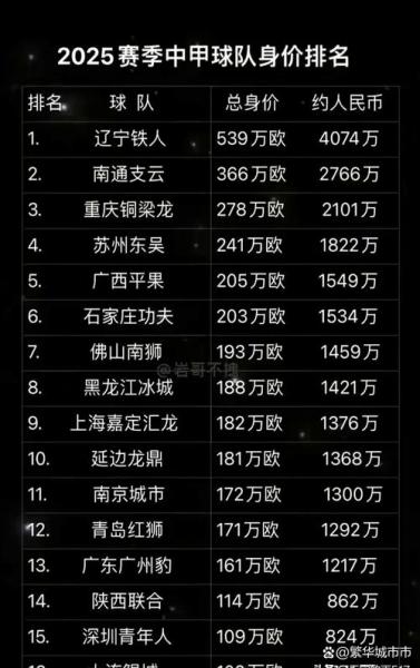 2025中甲球队投入排行，中甲球队一年投入？